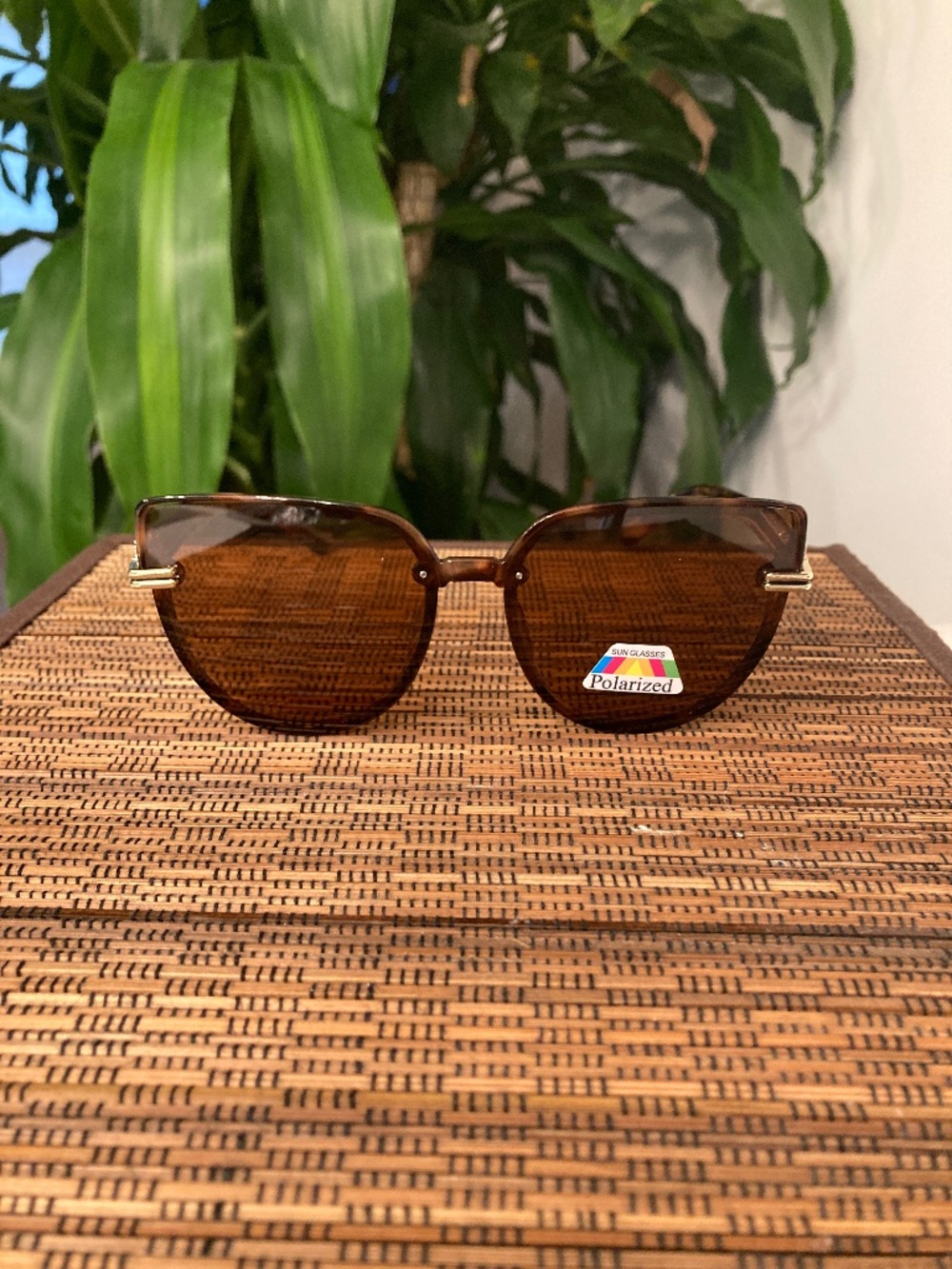 Polarized Cat Eye With Ornate Cutout Temple Sunglasses